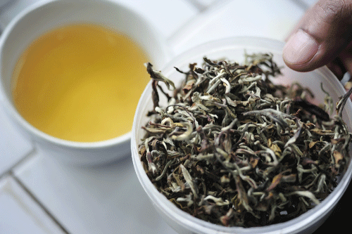 Exporter of Darjeeling Leaf Tea